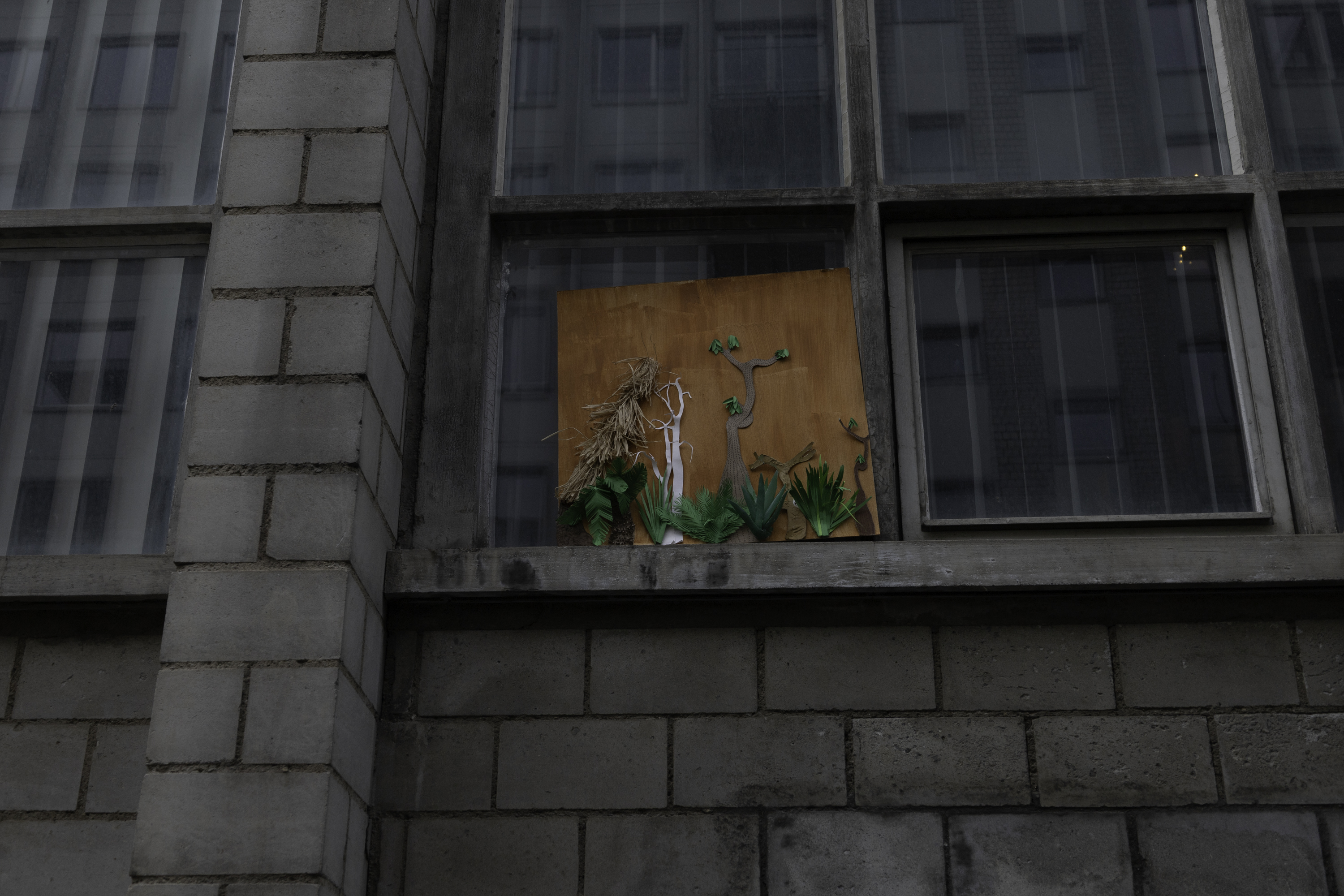 Das schwindende Paradies